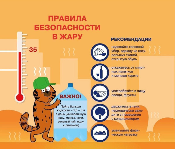Безопасность ребёнка в жару Безопасность ребёнка в жару.